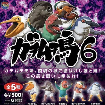 BEETLE MEDICOM TOY 戰鬥筋肉鳥 ガチムチ鳥6 肌肉鳥 千錘百鍊筋肉鳥 扭蛋 轉蛋 一組 全五種 現貨