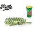 BEETLE RASTACLAT 雷獅特 MOUNTAIN DEW 汽水 聯名款 STRIPE 綠黃 鞋帶 編織 手環