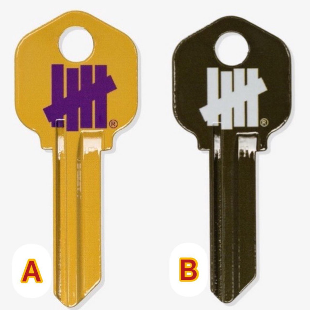 BEETLE UNDEFEATED 鑰匙 HOUSE KEY 柵欄 可自改 黃紫 軍綠