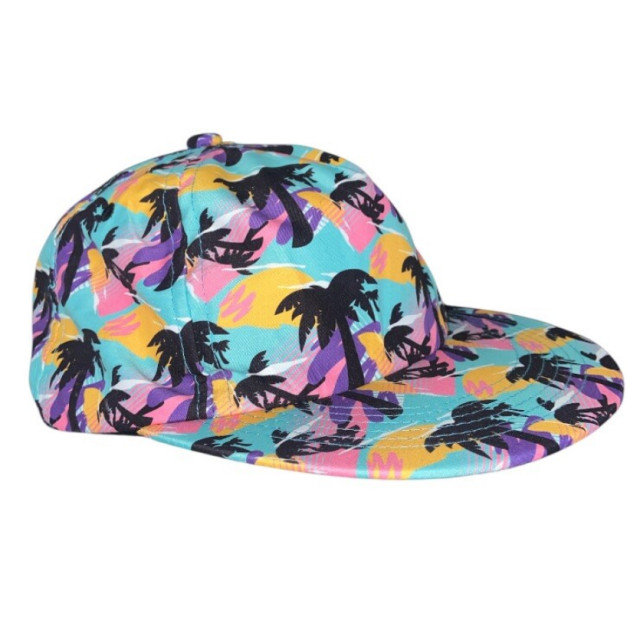 美牌 NEFF SNAPBACK HAT CAP BEACH PALM TREES 棕櫚樹 帽子 海灘帽