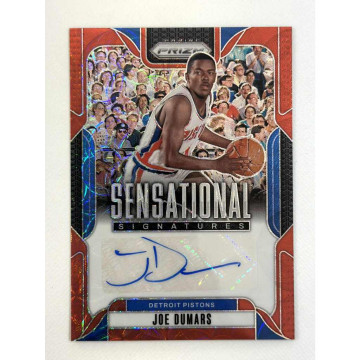 24-25 PANINI PRIZM JOE DUMARS SENSATIONAL AUTO 貼紙簽 活塞球員卡 圈圈亮