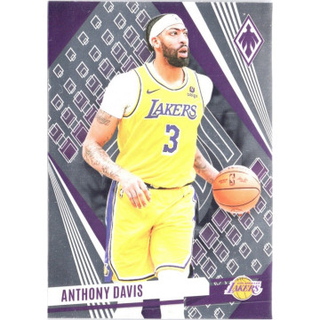 2023-24 PANINI PHOENIX NBA ANTHONY DAVIS AD 湖人 一眉 球員卡 #248