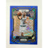 2023-24 PANINI NBA PRIZM JAYSON TATUM 傑森塔圖姆 藍波紋 塞爾提克 球員卡