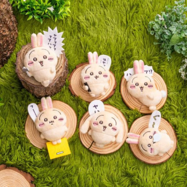 BEETLE 吉伊卡哇 烏薩奇 絨毛 別針 兔兔 垂耳兔 槌子兔 睡覺兔 一番賞 日本正版 CHIIKAWA